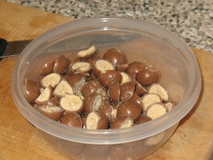 brownies: quarter each piece of malt candy